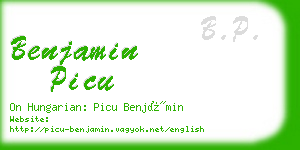 benjamin picu business card